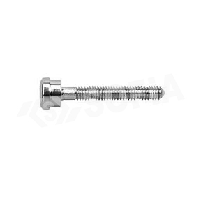 COMPRESSION SCREW Manufacturers in Delhi