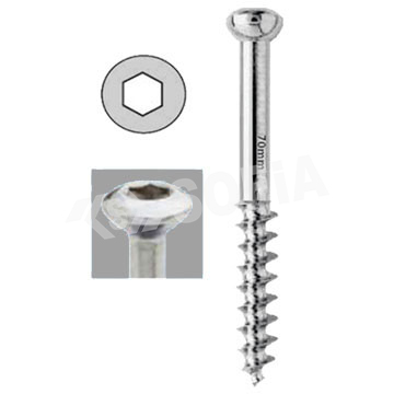 6.5MM CANCELLOUS SCREW (32MM THREAD) Manufacturers in Delhi