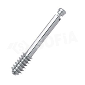 DHS DCS LAG SCREWS Manufacturers in Delhi