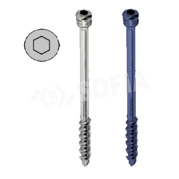 4.0MM LOCKING CANCELLOUS SCREW (SHORT THREAD) Manufacturers in Delhi